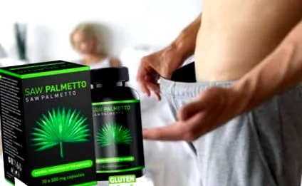 palmetto