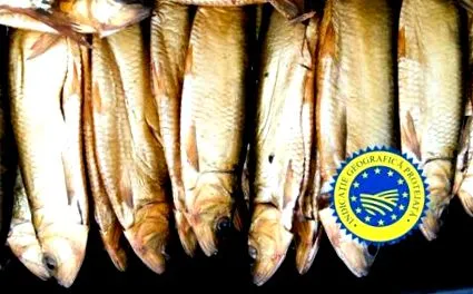 makréla eu-ban