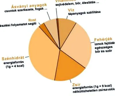хранителни хранителни