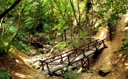 excursie excursie