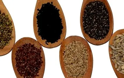 novák seed