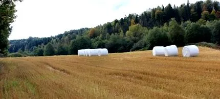 teren achiziționarea