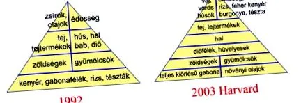 реалност самата