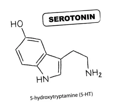 szerotonin