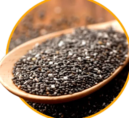 seeds
