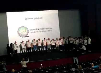 professzionális