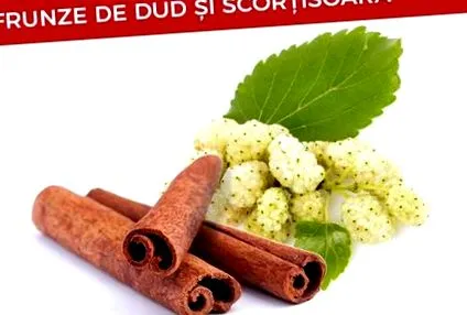 vércukorszint Természetes kivonat