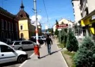 hírek seges