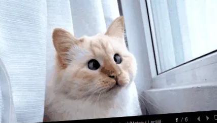 tache