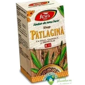 plantajnom