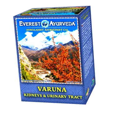 everest kiválasztó