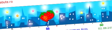 tvrdím