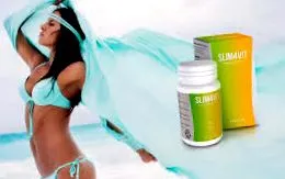 slim4vit
