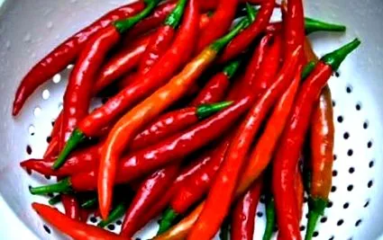 paprika