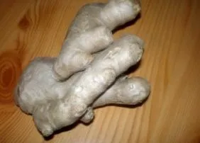 gyömbérszósz