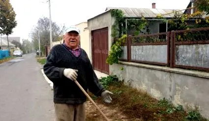 egészségügyi pajzs
