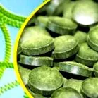 spirulina