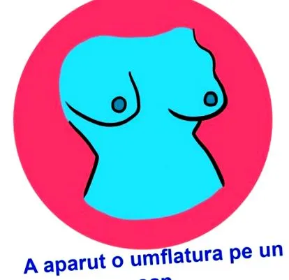 egészségedről amit