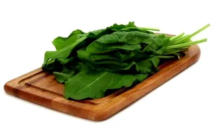 gyógyászati stevia