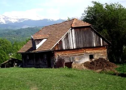 мамарланите студија