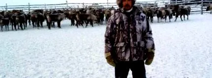 избришете колачиња