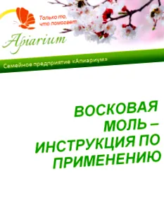 восочен молец