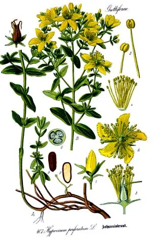 hidrogén izotóp