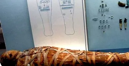 єгипетських