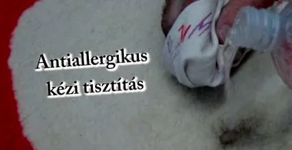 тялото тялото