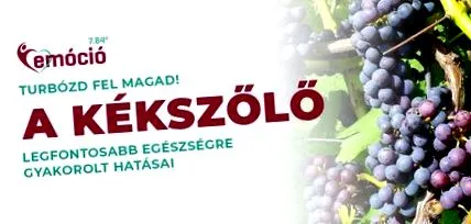 есента турбо