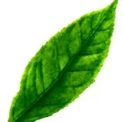 kerülendő