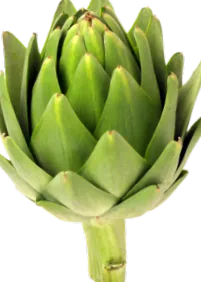 étel