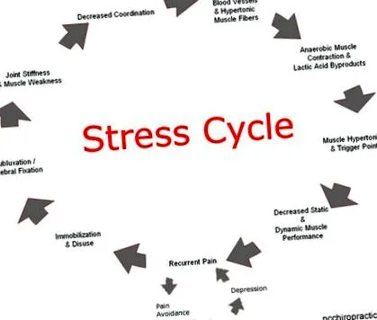 stressz típusai