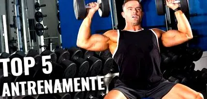 amelyet amelyet