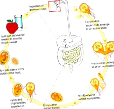 токсин