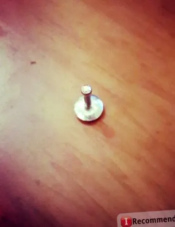 tragus