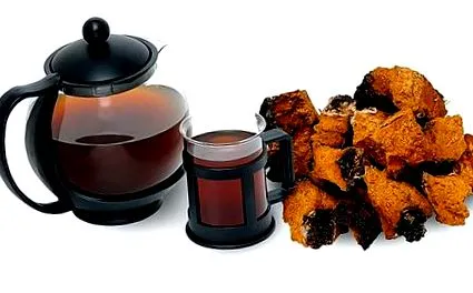 chaga