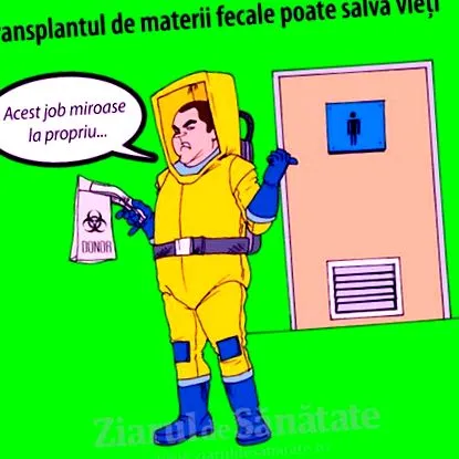 bélflóra