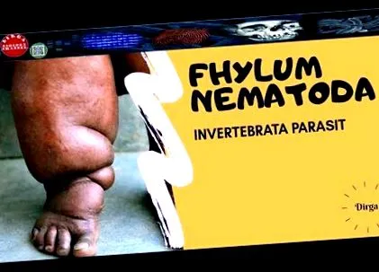 papilloma vírus parazita