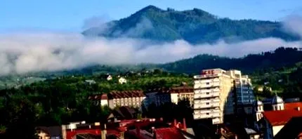 liečba
