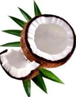 1000ml