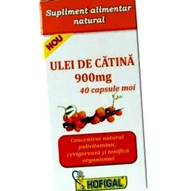 láncolaj