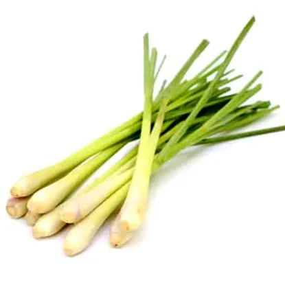 aromateria
