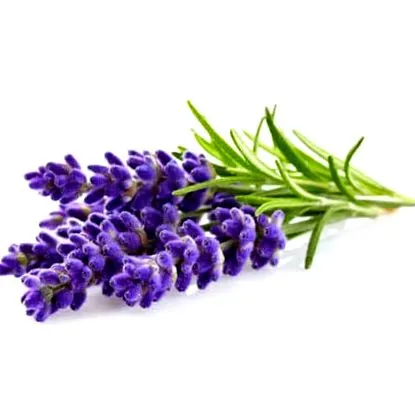 aromateria