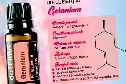 grapefruit