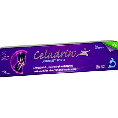 egyiptomi