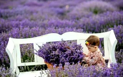hatással