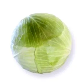 káposzta
