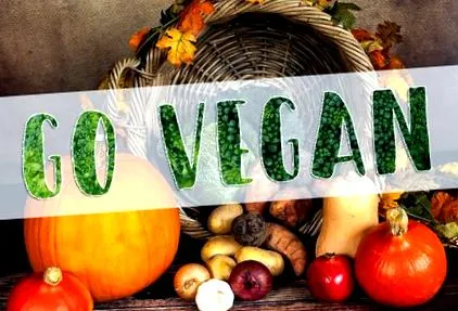 vegánskej vegánskej