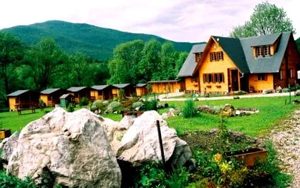 пензија маргаритки
